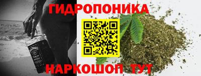 прущие крисы Нарткала