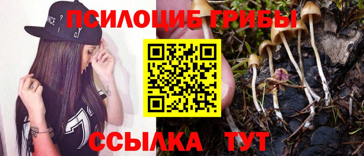 Галлюциногенные грибы Psilocybine cubensis  Вход с VPN  Углич 