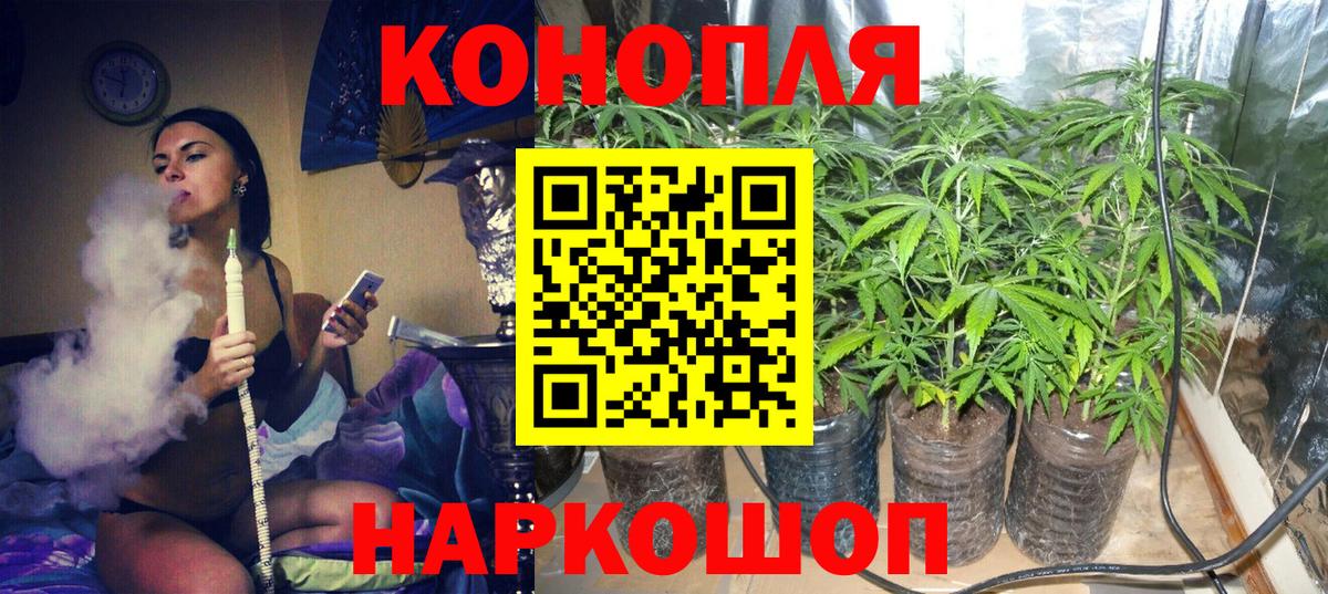 МАРИХУАНА AK-47  Шишки марихуана семена  Углич  Канабис Bruce Banner  Бошки марихуана THC 21%  Вход с VPN 